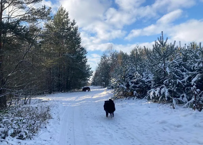 Domek Nad Rzeka