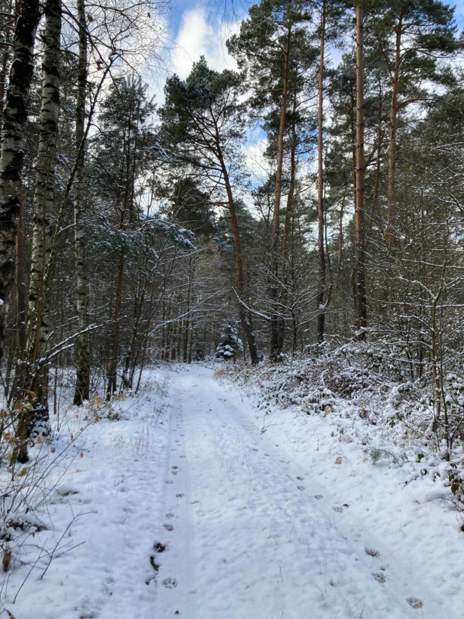 Holiday home Nad Rzeka